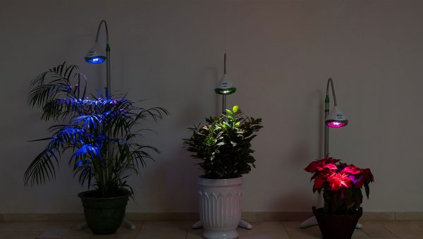 מנורה לגידול צמחים חכמה וחסכונית