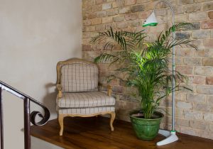מנורה לגידול צמחים בבית